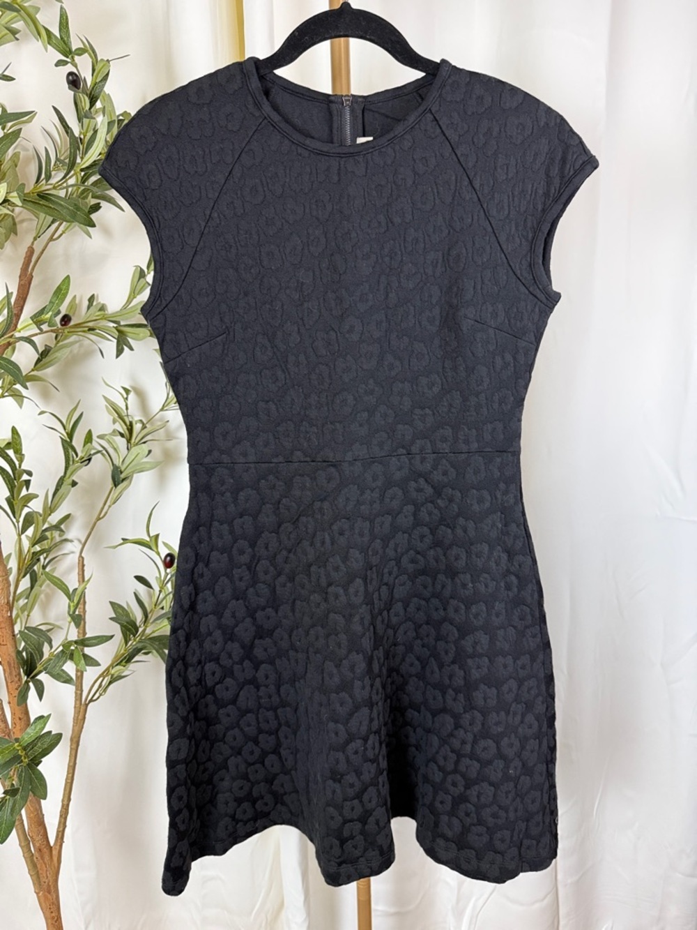 LOFT Black Textured Cap-Sleeve Fit & Flare Stretch Cotton Mini Dress Sz 4P (DJ4)